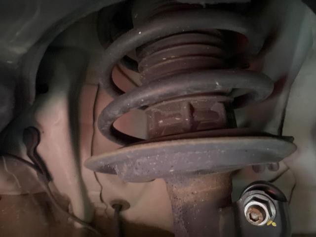 27051946_carP_l_20.jpg