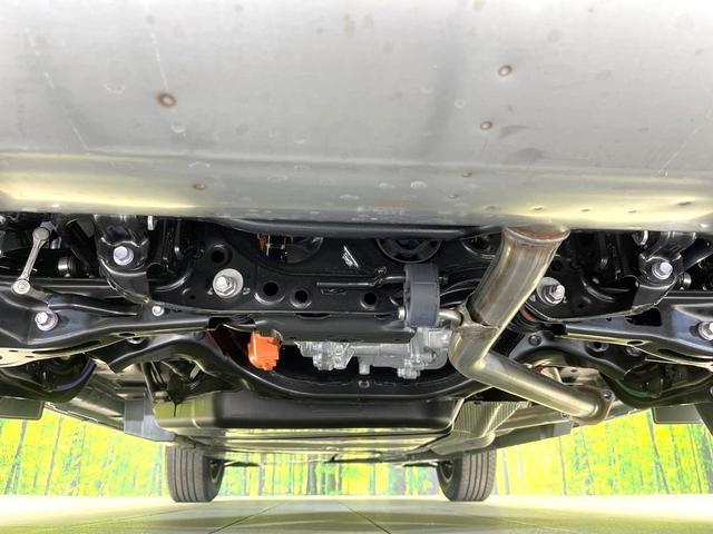 23884851_carP_l_18.jpg