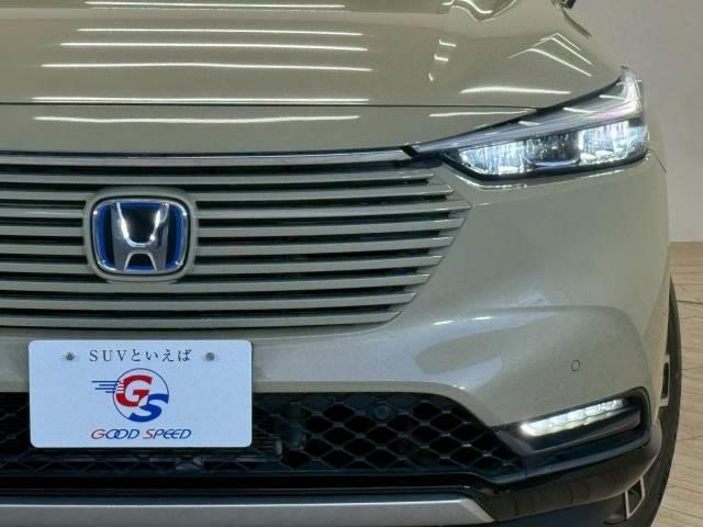 24294421_carP_l_18.jpg