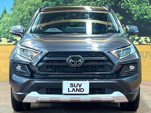 26105429_carP_l_9.jpg