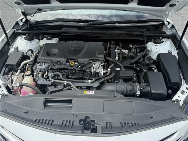 25565216_carP_l_18.jpg