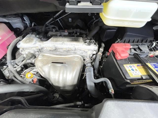 26380504_carP_l_18.jpg