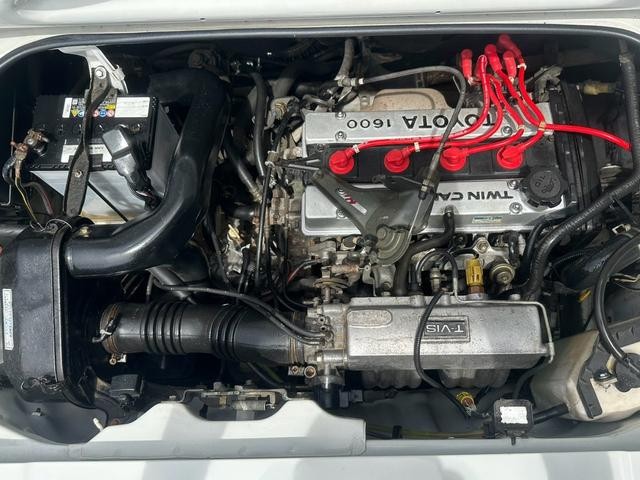0561562A30260806W00118.jpg