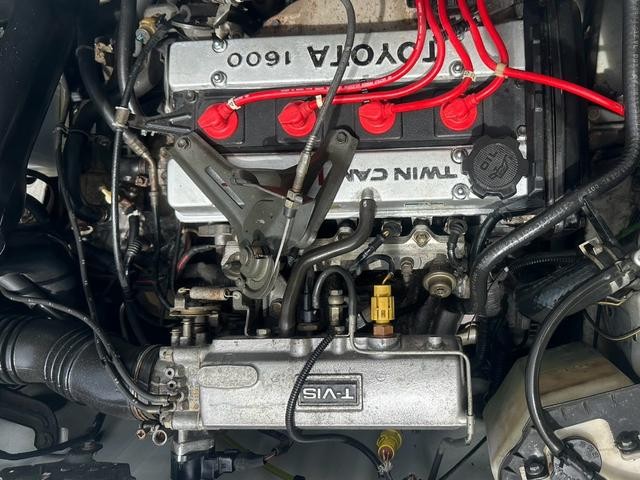 0561562A30260806W00119.jpg
