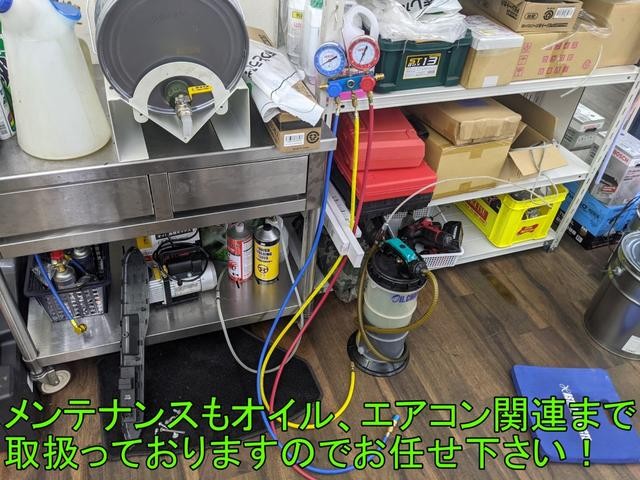 0509045A30260822W00416.jpg