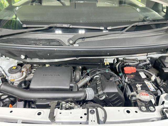 24582197_carP_l_16.jpg