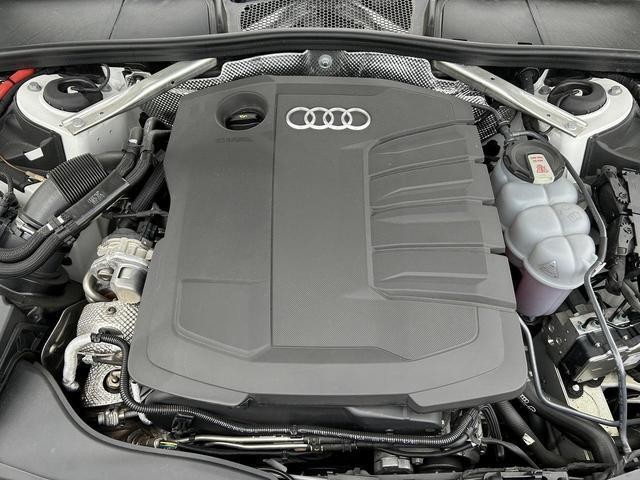 26638544_carP_l_12.jpg