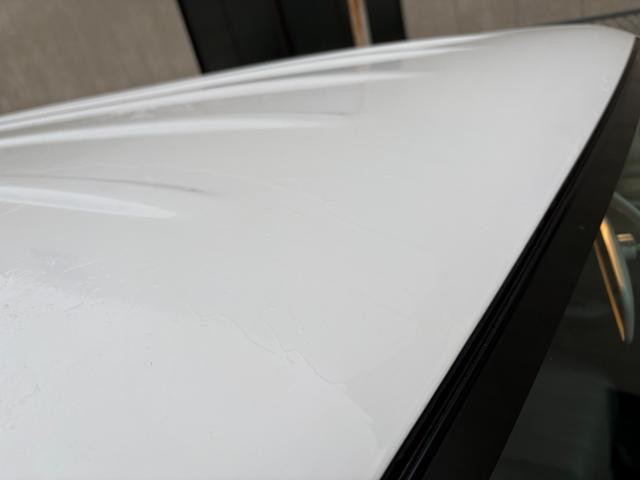 0710035A30261026W00117.jpg