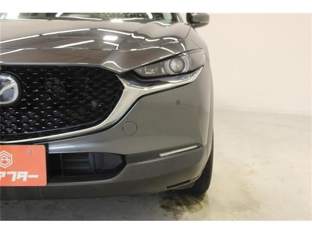 4f56bdcab48361293e1a7cfb70929ec9.jpg