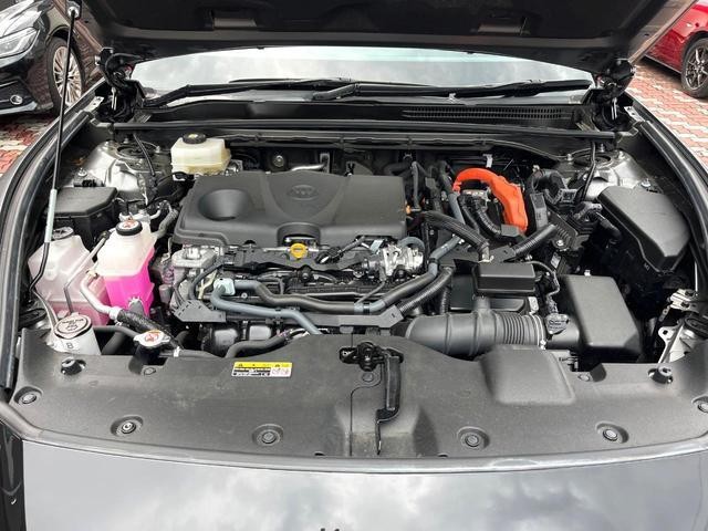 26105457_carP_l_16.jpg