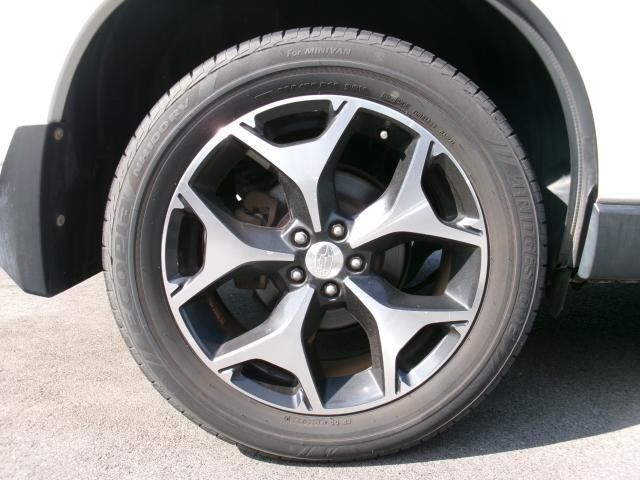 25719911_carP_l_19.jpg