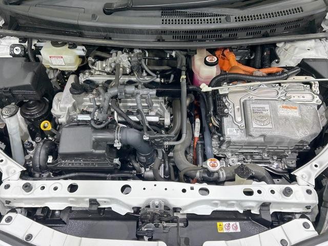 26751520_carP_l_16.jpg