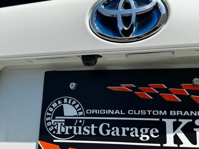 0708878A30260811W00214.jpg