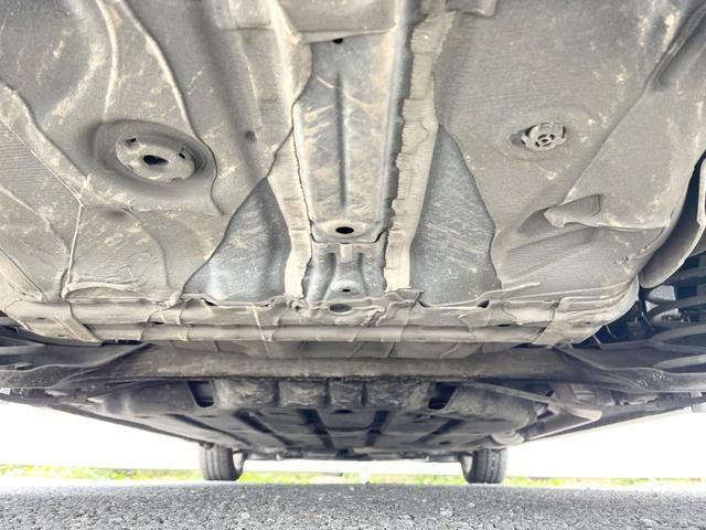 25923107_carP_l_18.jpg