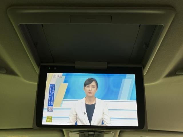 25927879_carP_l_6.jpg