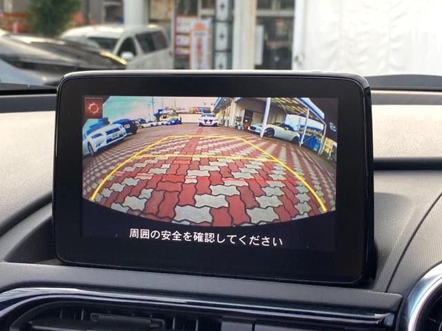 26105466_carP_l_4.jpg