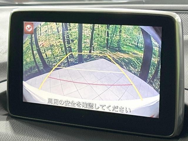 26751524_carP_l_4.jpg