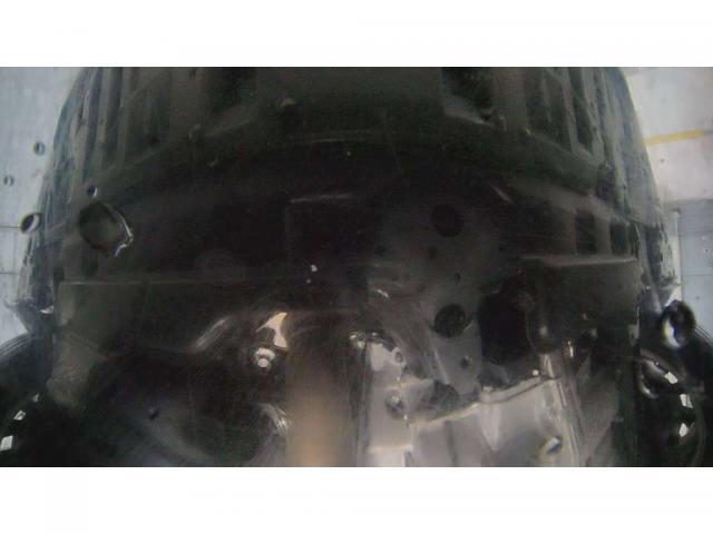 24933355_carP_l_19.jpg