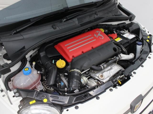 25081070_carP_l_9.jpg