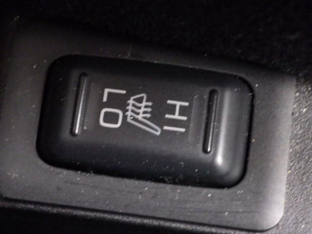 0302471A30260606W00313.jpg
