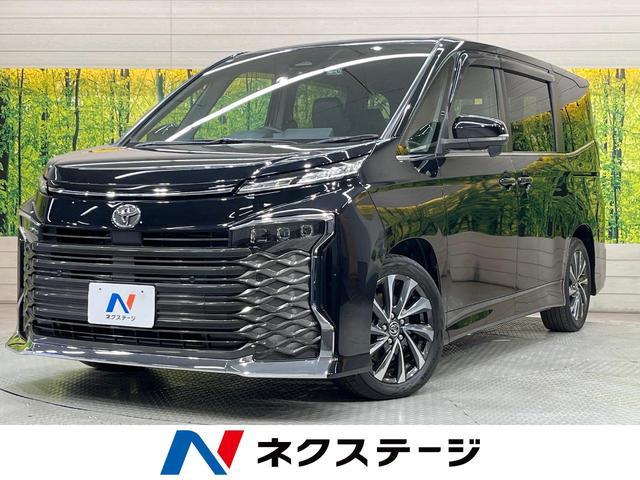 23771760_carP_l_1.jpg