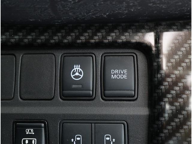 0202274A30261026W02118.jpg