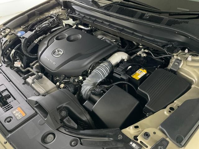 0504839A30260908W00113.jpg