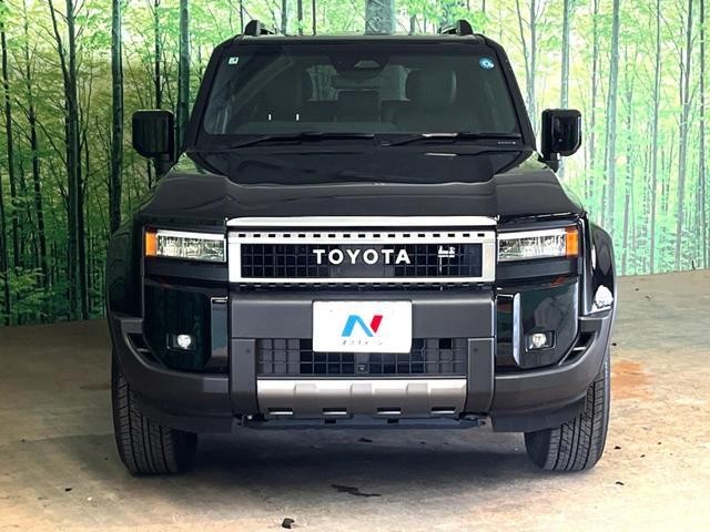 26146559_carP_l_19.jpg