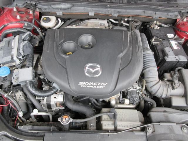 0551867A30260829W00317.jpg
