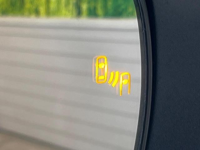 26468450_carP_l_10.jpg