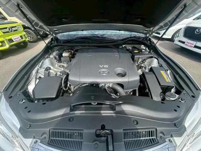 23902386_carP_l_17.jpg