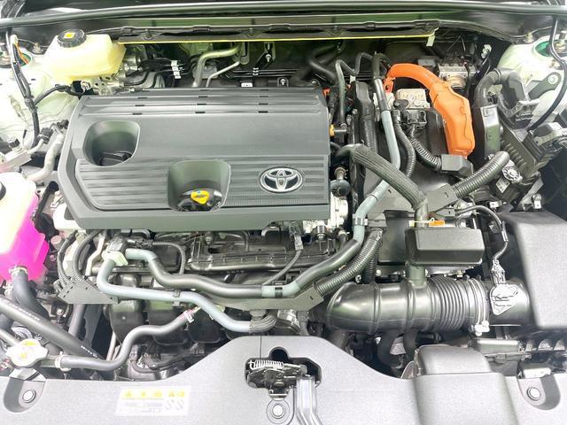 24582246_carP_l_20.jpg