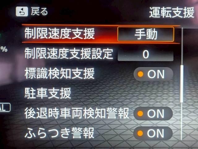 25364320_carP_l_5.jpg