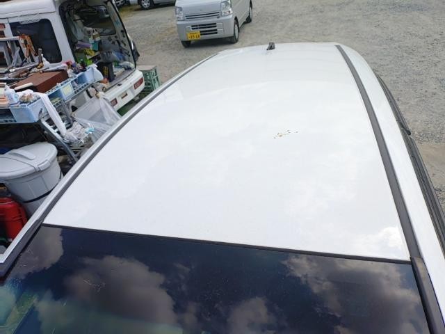 26089925_carP_l_14.jpg