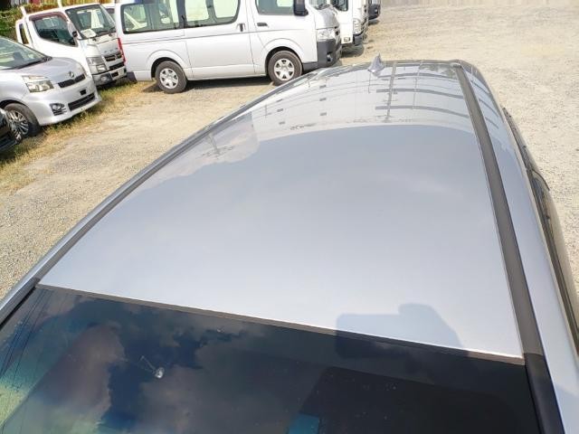 26089928_carP_l_14.jpg