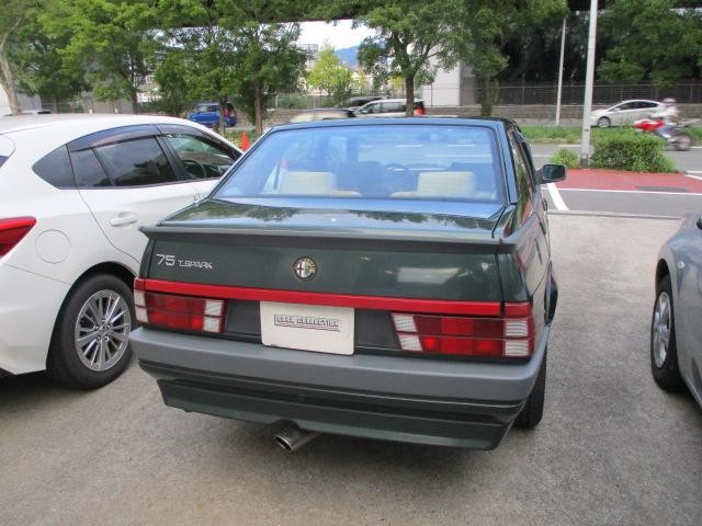 9730794A30260918W00106.jpg
