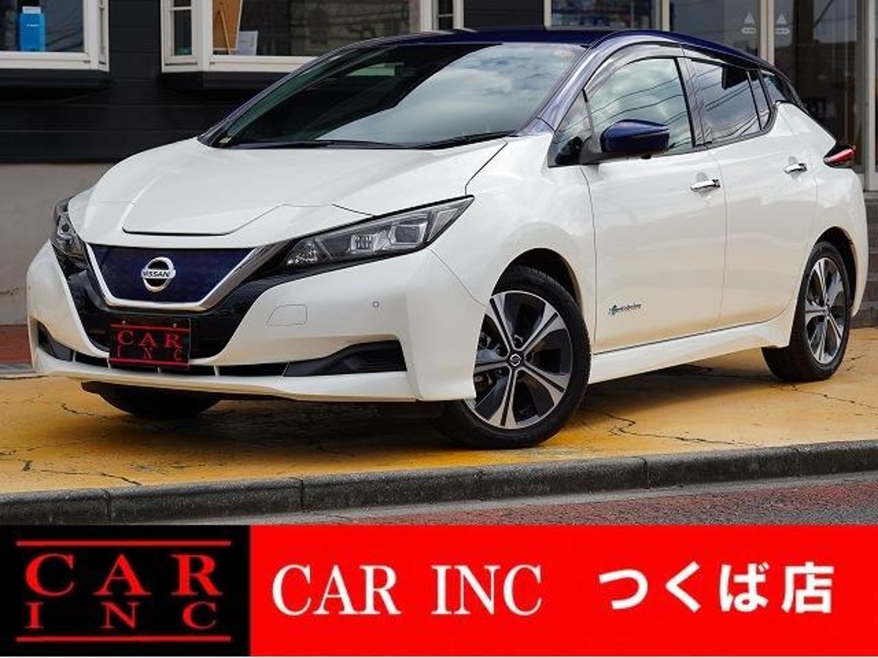 2019 Nissan Leaf Standard for sale in Kenya