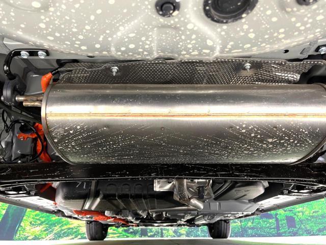 24746651_carP_l_20.jpg