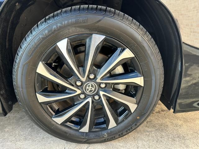 25938917_carP_l_20.jpg