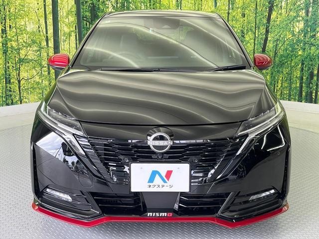 26468497_carP_l_9.jpg