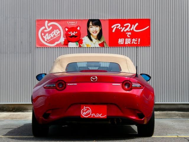 26601818_carP_l_10.jpg