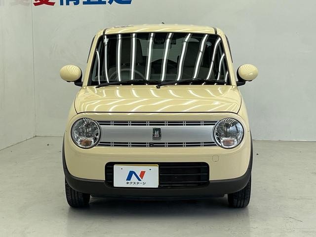 26105804_carP_l_8.jpg