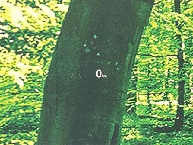 26968607_carP_l_14.jpg