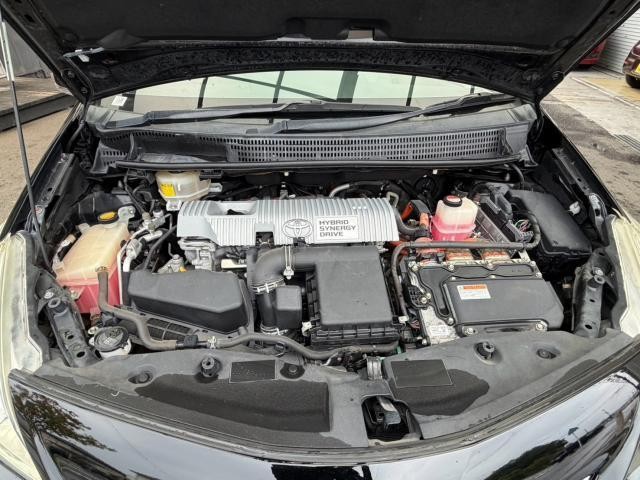 26730882_carP_l_17.jpg