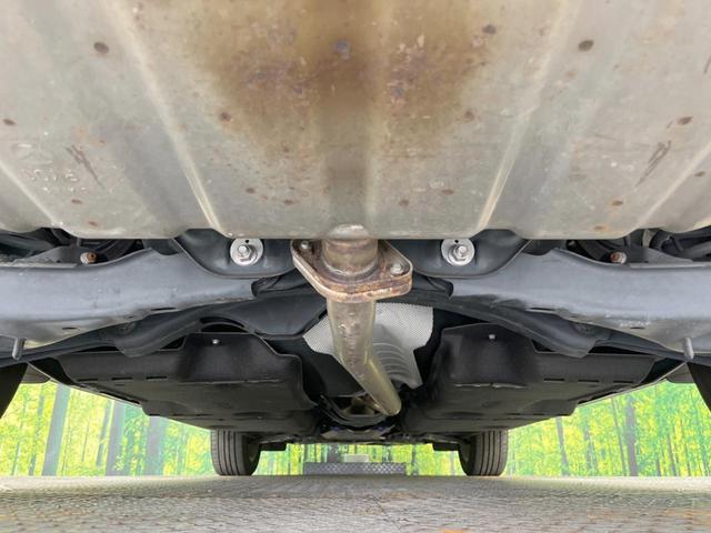 24746717_carP_l_18.jpg