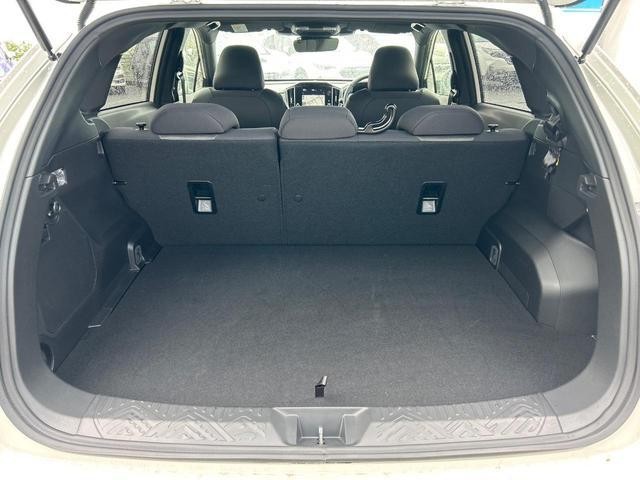26731181_carP_l_5.jpg
