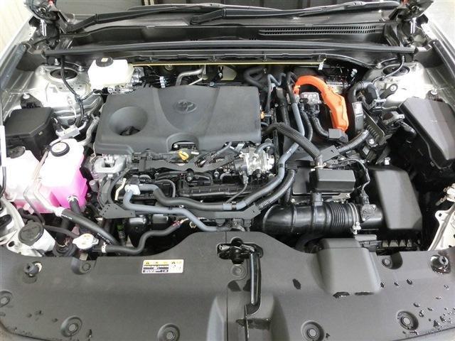 23576547_carP_l_16.jpg