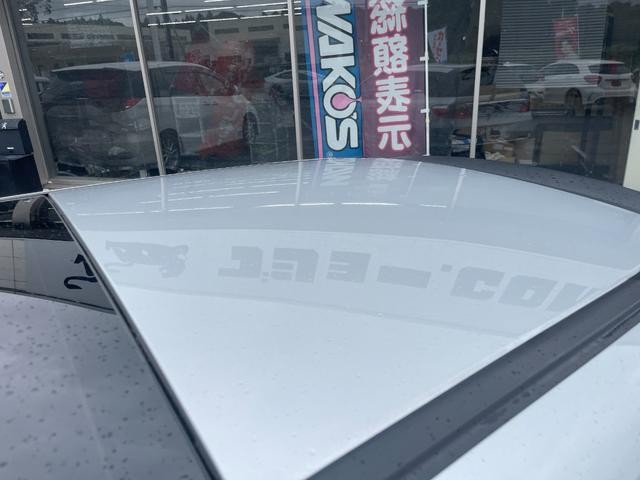 0540484A30260916W00316.jpg