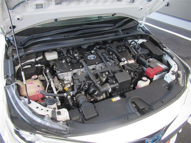 1ae217b6406e4e58c6fc3f93b988d0d4.jpg