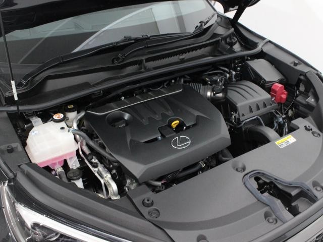 25081286_carP_l_20.jpg